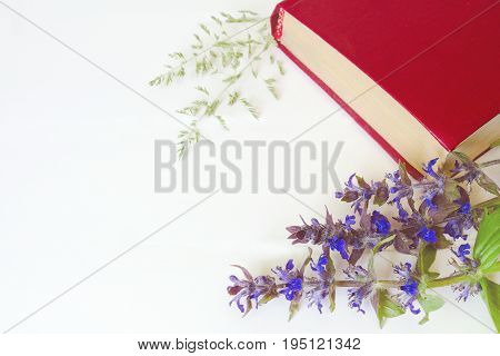 Red book with blue flowers on a white background