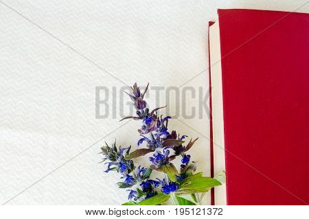 Book of red color in flowers on a white background. The concept of education and knowledge