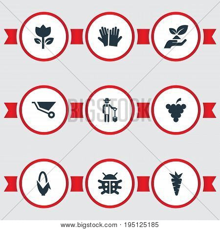 Vector Illustration Set Of Simple Garden Icons. Elements Horticultural Gauntlet, Root, Fruit And Other Synonyms Insect, Vegetable And Horticultural.