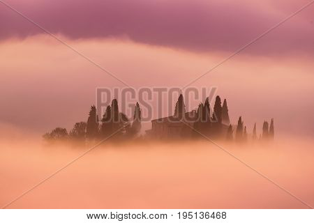 Beautiful foggy sunrise in Tuscany, Italy with vineyard and clouds. Natural idillyc seasonal autumn background