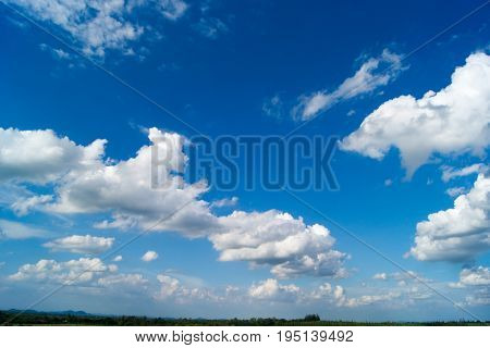 Water tree and sky with white cloud cover.