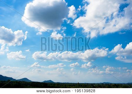 Water tree and sky with white cloud cover.
