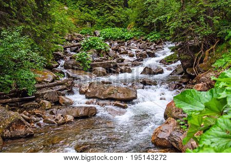 landscape with mountains, forest and a river. Mountain nature landscape.