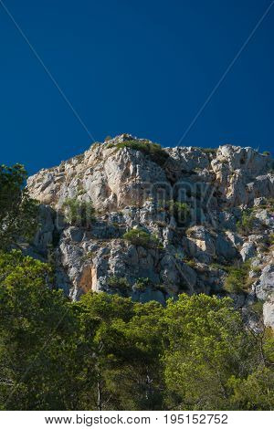 Rock formation and pine trees above the town of Estartit on the Costa Brava