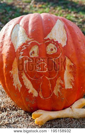 CHADDS FORD, PA - OCTOBER 26: View of Dog and Bone Pumpkin at The Great Pumpkin Carve carving contest on October 26, 2013