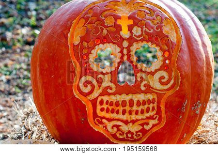 CHADDS FORD, PA - OCTOBER 26: View of Skull Pumpkin at The Great Pumpkin Carve carving contest on October 26, 2013