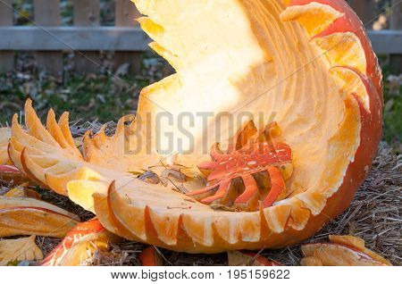 CHADDS FORD, PA - OCTOBER 26: View of Spider Pumpkin at The Great Pumpkin Carve carving contest on October 26, 2013