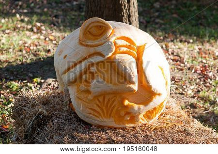 CHADDS FORD, PA - OCTOBER 26: View of Tree Frog Pumpkin at The Great Pumpkin Carve carving contest on October 26, 2013