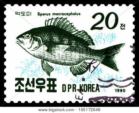 STAVROPOL RUSSIA - July 12 2017: a stamp printed by Sweden shows image fish Blackhead seabream (Sparus macrocephalus) circa 1990