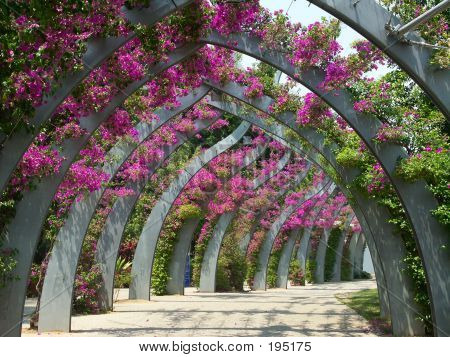 Arbor wandelpad