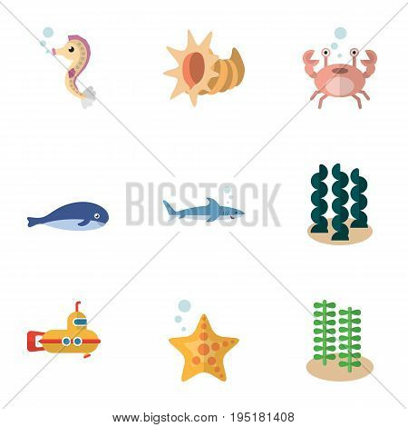 Flat Icon Marine Set Of Periscope, Cachalot, Shark And Other Vector Objects. Also Includes Alga, Submarine, Shark Elements.