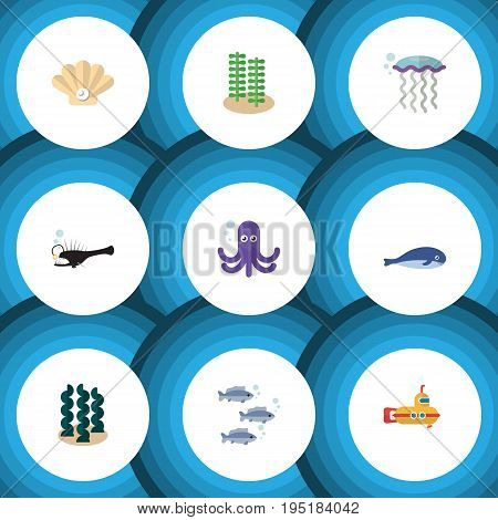 Flat Icon Sea Set Of Periscope, Alga, Tentacle And Other Vector Objects. Also Includes Angler, Melanocetus, Whale Elements.