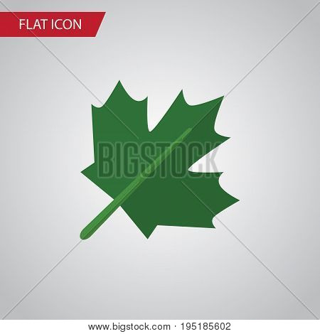 Isolated Maple Flat Icon. Oaken Vector Element Can Be Used For Oaken, Maple, Leaf Design Concept.