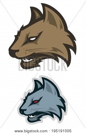 Wildcat sport mascot  for college sport team