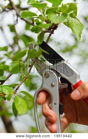 Gartenbau