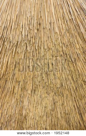 Reed Thatch