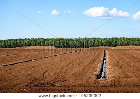 Bog And The Field On Which The Production Is Carried Out In Black Peat Mining
