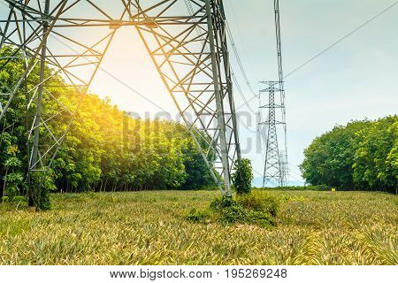 high voltage post.High-voltage tower sky background Twilight photo of power plant