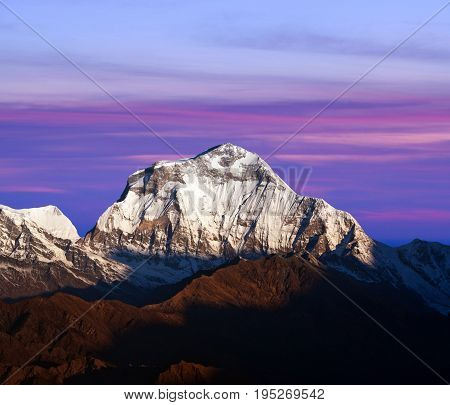 Panorama of mount Dhaulagiri - view from Poon Hill on Annapurna Circuit Trek in the Nepal Himalaya