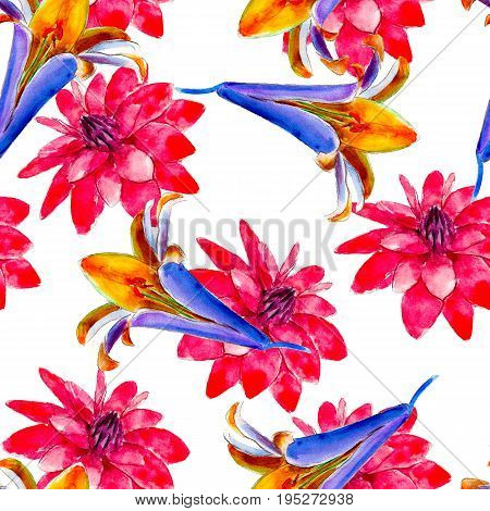 Lily watercolor seamless pattern. Bright tropical flowers isolated on white background hand-drawn design for background textile wrap and etc.