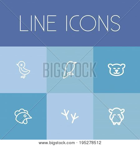 Set Of 6 Editable Zoo Icons. Includes Symbols Such As Bird, Hippo, Philomel And More. Can Be Used For Web, Mobile, UI And Infographic Design.