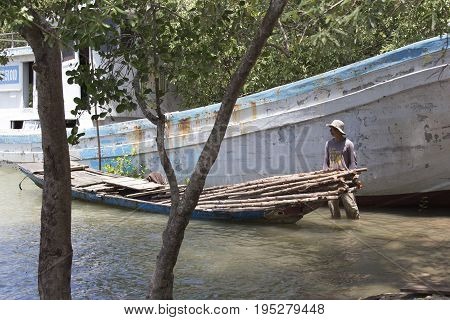 Unidentified Vietnamese Collecting Wood