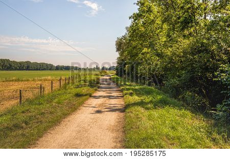 Winding dirt road between trees and grassland with a fence made of wooden poles with wire mesh. It is a sunny day in the Dutch summer season.