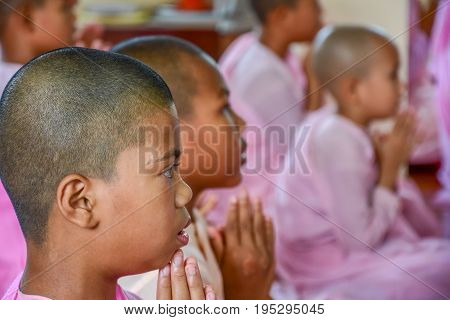 Dawei Myanmar - July 11 2015: Nuns in pink robes chanting in front of Buddha Image in Buddhist temple in Dawei of Myanmar.