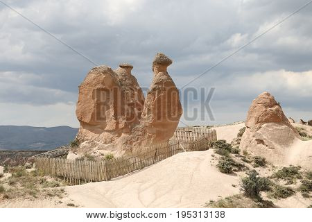 Camel Shaped Rock Formation In Devrent Valley, Cappadocia