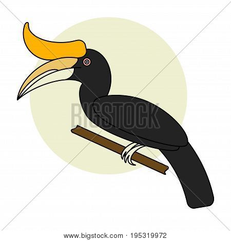 Hornbill bird. Vector cartoon tropical bird made in flat style. Isolated on white background.