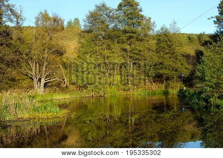 Meander of Rospuda river in Masuria, Podlasie, Poland