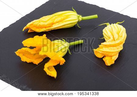 Yellow pumpkin flowers and zucchini on black. Studio Photo