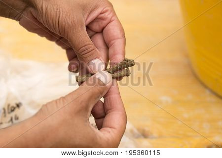 2017.07.07 Trieste Italy. Actual archaeological site. Archaeologist shows the bones of a little childe found in the grave. Historical period between the late antiquity and the early Middle Ages. VI century after Christ.