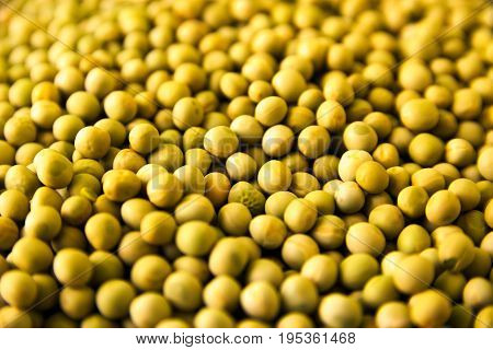 Fresh green peas on display at a nearby farmer's market. Traditional Raw Vegan source of Protein!