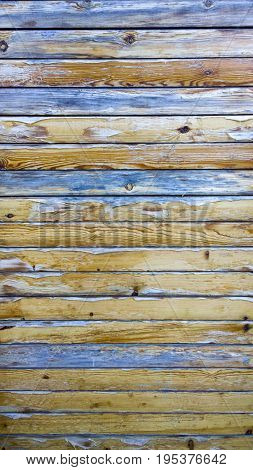 Old Wooden Board Texture. Tree Plank Background. Pattern