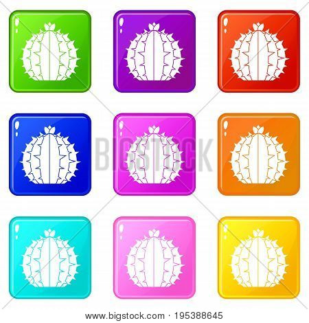 Lophophora cactus icons of 9 color set isolated vector illustration
