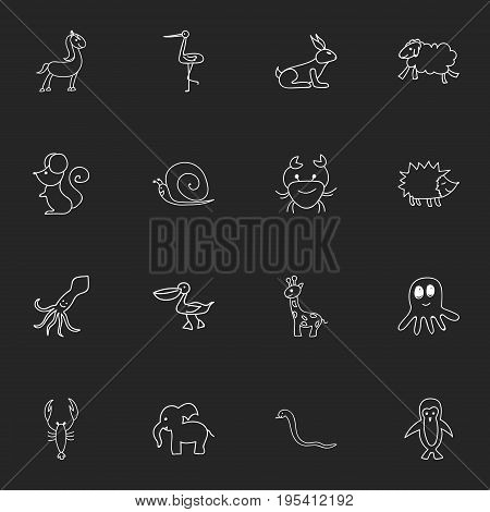 Set Of 16 Editable Zoology Icons. Includes Symbols Such As Lobster, Rat, Shadoof And More. Can Be Used For Web, Mobile, UI And Infographic Design.