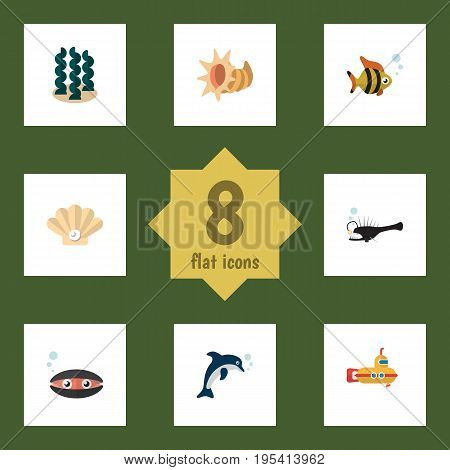 Flat Icon Nature Set Of Fish, Scallop, Periscope And Other Vector Objects. Also Includes Alga, Spirulina, Tuna Elements.