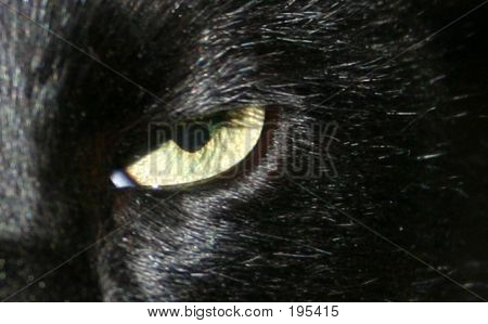 Catseye