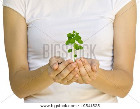 wooman holder en plante mellem hænderne på hvid