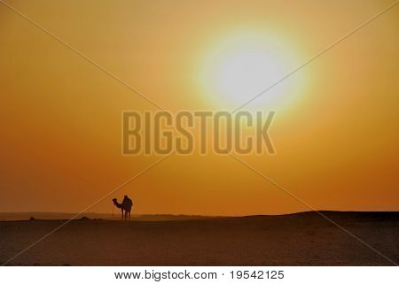 Auringonlasku aavikolla