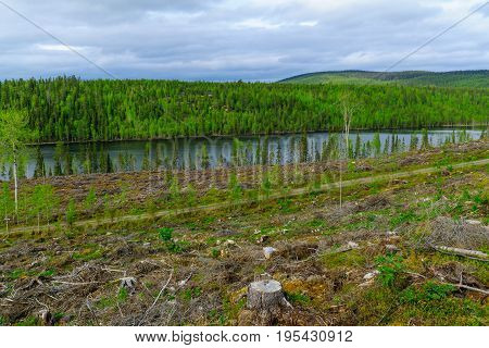Landscape Of The Kuntijarvi Lake