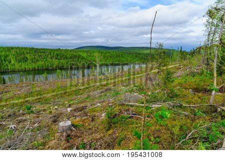 Landscape Of The Kuntijarvi Lake