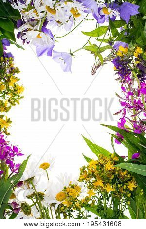 Creative layout with flowers, space for text. Studio Photo
