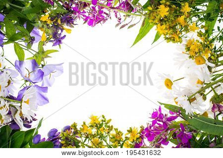 Creative layout with flowers, space for text. Studio Photo