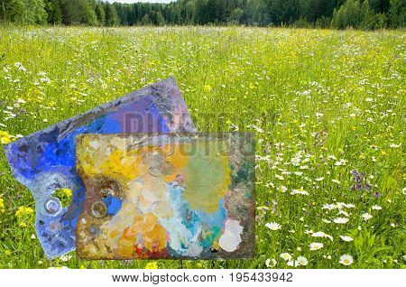 Profusely blooming forest glade bordered by a wall of forest with two palettes in the foreground.