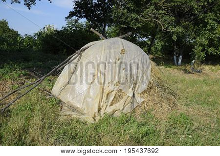 Haystack. A Haystack Of Grass Hay. Hay Making.