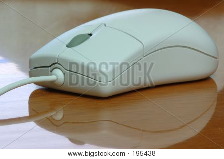 Mouse