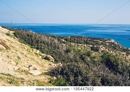 Seascape With green Hills And Indented Coastline