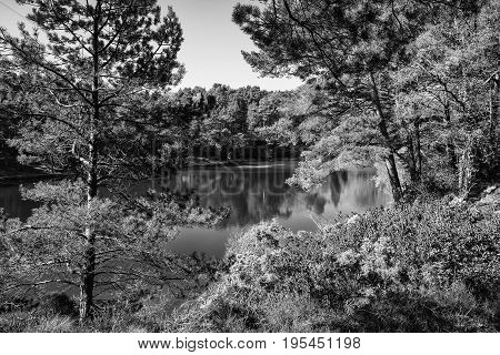 Beautiful Landscape Image Of Old Clay Pit Quarry Lake In Black And White Monochrome